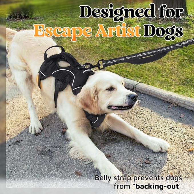 rabbitgoo Escape Proof Dog Harness, Soft Padded Full Body Pet Harness, Reflective Adjustable No Pull Vest with Lift Handle and Leash Clip for Large Dogs Walking Hiking Training, M, Black