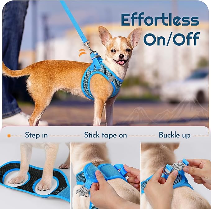 Eagloo Small Dog Harness and Leash Set, Step in Puppy Vest with Breathable Soft Mesh, Walking Reflective Pet Harness for Medium Small Dogs, Blue, M