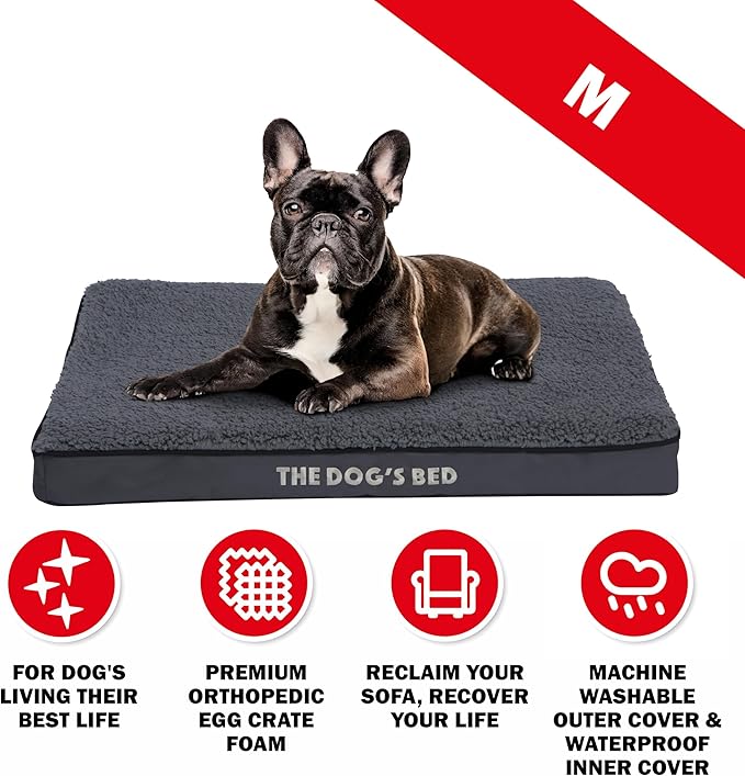 The Dog’s Bed Orthopedic Dog Bed, Medium Grey Plush, Waterproof, Supportive Dog Bed with Washable Replaceable Covers, Veterinary Approved