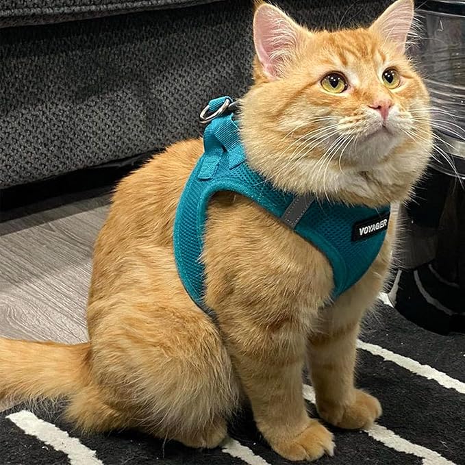 Voyager Step-in Pet Harness - All Weather Mesh, Adjustable Step in Harness for Cats and Dogs by Best Pet Supplies - 307S Turquoise, S