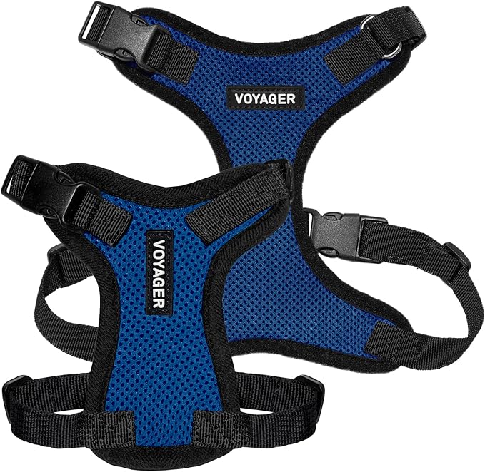 Voyager Step-in Pet Harness - All Weather Mesh, Adjustable Step in Harness for Cats and Dogs by Best Pet Supplies - Royal Blue/Black Trim, L