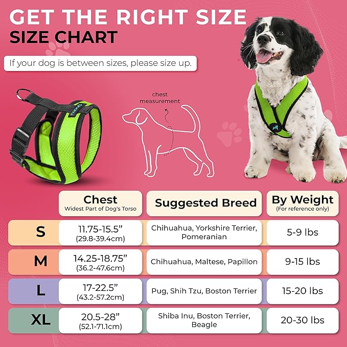 Gooby Comfort X Head In Harness - Green, Medium - No Pull Small Dog Harness Patented Choke-Free X Frame - Perfect on the Go Dog Harness for Medium Dogs No Pull or Small Dogs for Indoor and Outdoor Use