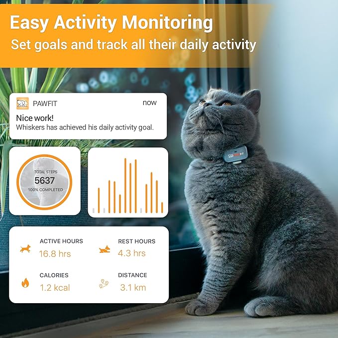 Lite for Cats 4g GPS Tracker | Real Time Tracking | Activity Monitoring |Location History | Unlimited Range | Safety Collar Included | Lilac Grey