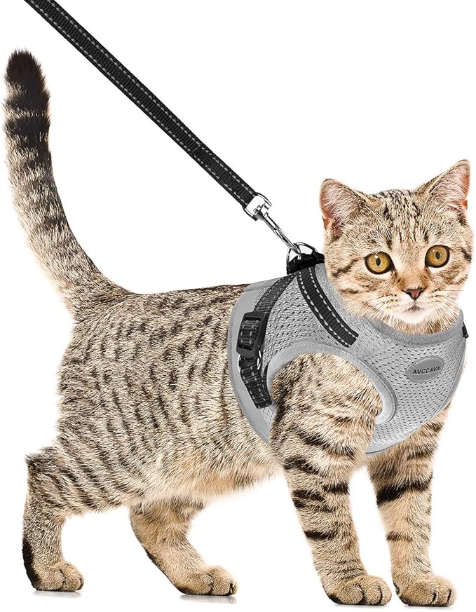 Cat Harness and Leash for Walking, Kitten Escape Proof Harnesses, Adjustable Reflective Puppy Harness with Leashes Set, Easy Adjustable Soft net Breathable Pet Safety Vest M (Chest: 12" - 14") Grey