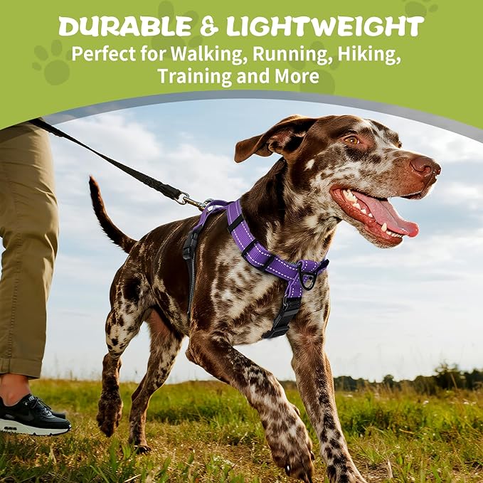 No-Pull Harness,Y-Shaped Design,Buckle-Neck Balance Harness with Reflective Stitching, Ideal for Dog Training and Night Walking, Padded Handle, Durable High-Tensile Nylon-Purple-S