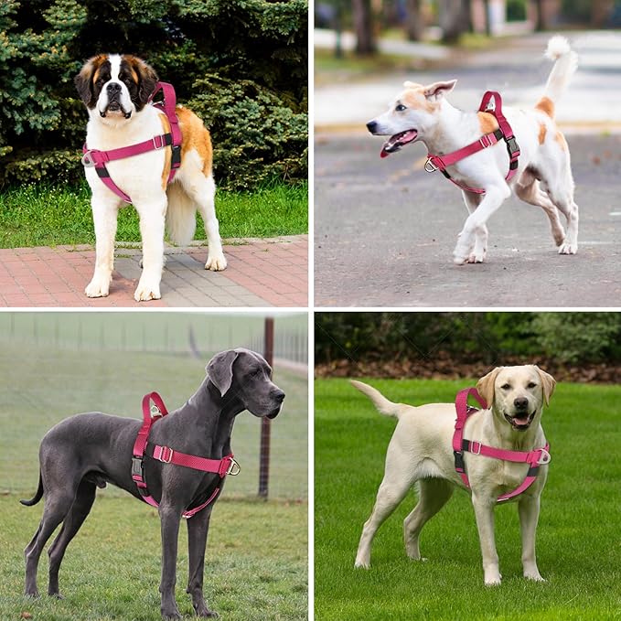 Annchwool Adjustable Dog Harness-Lightweight No Pull Dog Harness with Handle for Small & Medium and Large Dogs-Front Clip Easy for Walking Vest Harness(Red,M)