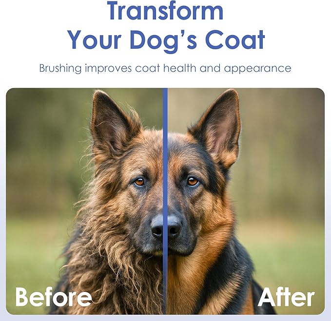 American Kennel Club AKC 2-Sided ProBrush™ – Double-Sided Bristle & Pin Grooming Brush with Complimentary Bath Brush – for Dogs & Cats of All Coat Types