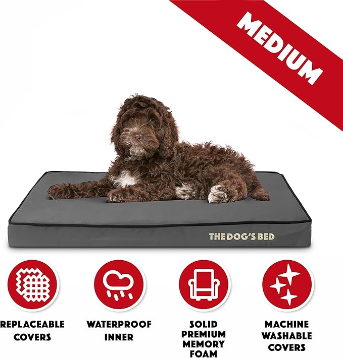 The Dog’s Bed Orthopedic Memory Foam Dog Bed, Medium Grey & Black 34x22, Waterproof, Supportive Dog Bed with Replaceable Covers, Veterinary Approved