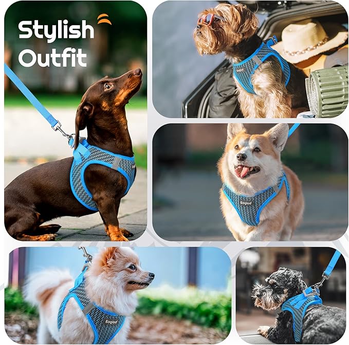 Eagloo Small Dog Harness and Leash Set, Step in Puppy Vest with Breathable Soft Mesh, Walking Reflective Pet Harness for Small Dogs, Blue, XS