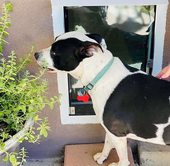 Wall Model | Cat & Dog Doors | Adjustable Tunnel Fits Up to 10" Wide Walls | Energy Efficient Double Vinyl Flaps | Locking Security Cover | Skilled Install Required | Steel Corners | Hale Pet Door