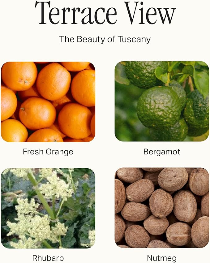 Preston Lane Complete Candle Set, 4 Double-Wick Scented Candles with Vegan, Soy Wax Blend, 7.5 Oz Each