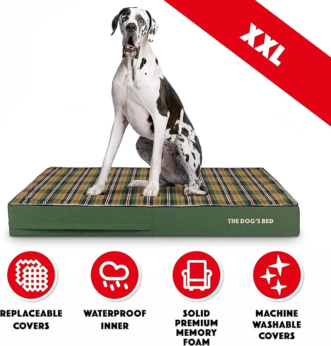 The Dog’s Bed Orthopedic Memory Foam Dog Bed, XXL Green Tartan 54x36, Pain Relief for Arthritis, Hip & Elbow Dysplasia, Post Surgery, Lameness, Supportive, Calming, Waterproof Washable Cover