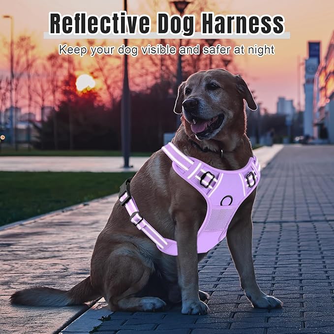 Rnivvi No Pull Dog Harness, Cute Reflective Medium Sized Puppy Kitten Harness, Adjustable Soft Padded Vest for Medium Dogs, Heavy Duty Pet Vest with Easy Control Handle for Walking, Purple