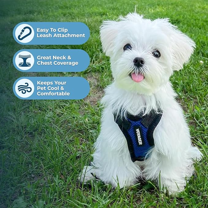 Voyager Step-in Pet Harness - All Weather Mesh, Adjustable Step in Harness for Cats and Dogs by Best Pet Supplies - Royal Blue/Black Trim, M
