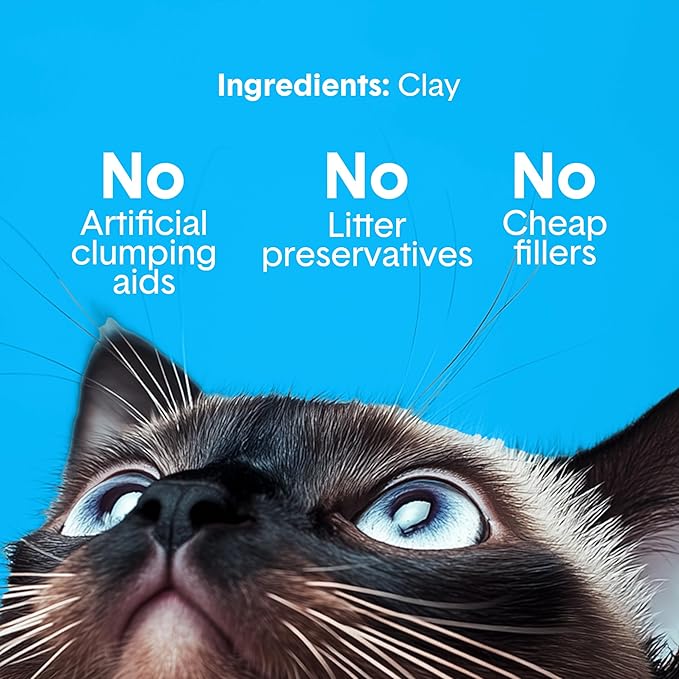 Boxie Unscented 30 Day Odor Control Clumping Clay Cat & Kitty Litter 40 lb, 99.9% Dust-Free, Hard Flat Top Clumps, No Fragrances No Fillers, Long-Lasting, Easy to Scoop
