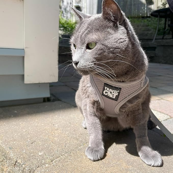 Travel Cat Harness and Leash Set - Adjustable Fit Mesh Cat Harness and Reflective Strap - Comfort Walking Vest for Kitten for Outdoor Walking, Hiking (Small, Grey)