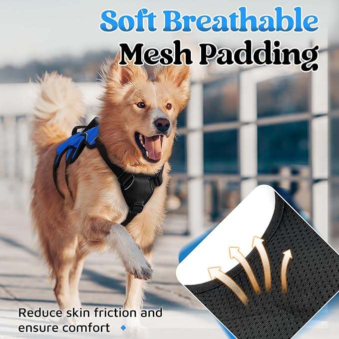 rabbitgoo Escape Proof Dog Harness, Soft Padded Full Body Pet Harness, Reflective Adjustable No Pull Vest with Lift Handle and Leash Clip for Large Dogs Walking Hiking Training, XL, Blue