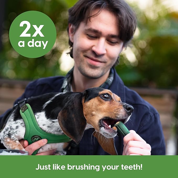 Ark Naturals Brushless Toothpaste, Dog Dental Chews for Small Breeds, Freshens Breath, Helps Reduce Plaque & Tartar, 12oz (Pack of 6)