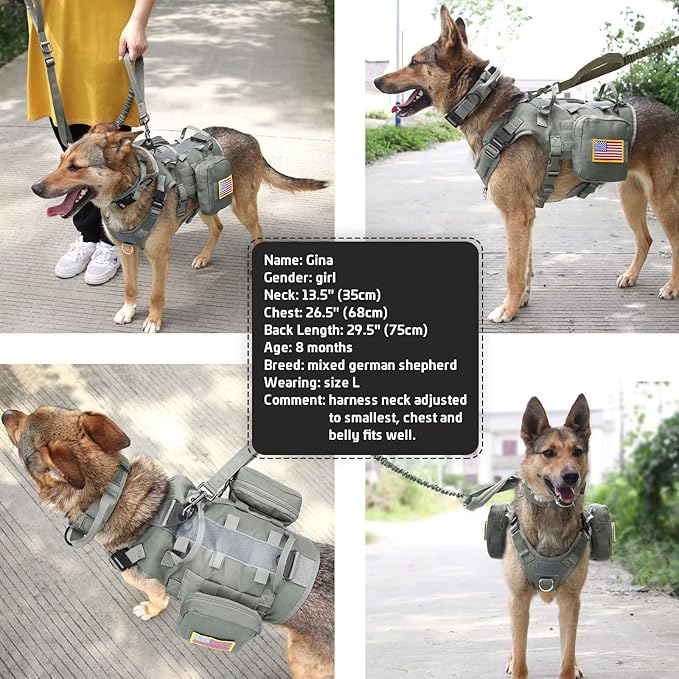 Forestpaw Tactical Dog Harness for Large Dogs,Tactical Dog Collar with Bungee Leash Set,No Pull Military Dog Harness for Walking Training,Adjustable for Medium Large Dogs,Gray,Chest 19.5-41.5"