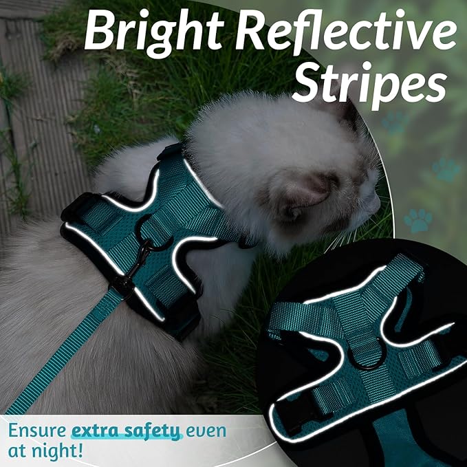 rabbitgoo Cat Harness and Leash for Walking, Escape Proof Soft Adjustable Vest Harnesses for Cats, Easy Control Breathable Reflective Strips Jacket, Teal, XXS