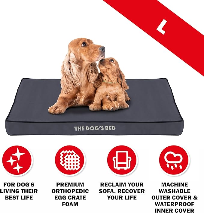 The Dog’s Bed Orthopedic Dog Bed, Large Grey with Black Trim, Waterproof, Supportive Dog Bed with Washable Replaceable Covers, Veterinary Approved