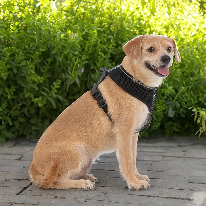 Best Pet Supplies Voyager Aerolite No Pull Mesh Dog Harness, Reflective Stitching, Breathable Harness, Adjustable for Walking, Training, Running, Heavy Duty and Durable, Black, S