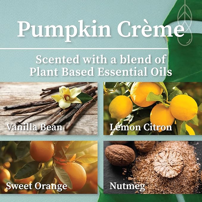 Hemlock Park Green Glass Wood Wick Candle Handcrafted with Natural Coconut Wax (Standard 8 oz, Pumpkin Crème)