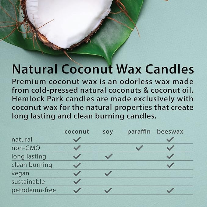 Hemlock Park Crackling Wood Wick Candle Handcrafted with Natural Coconut Wax (Standard 8 oz, Mulled Cider)