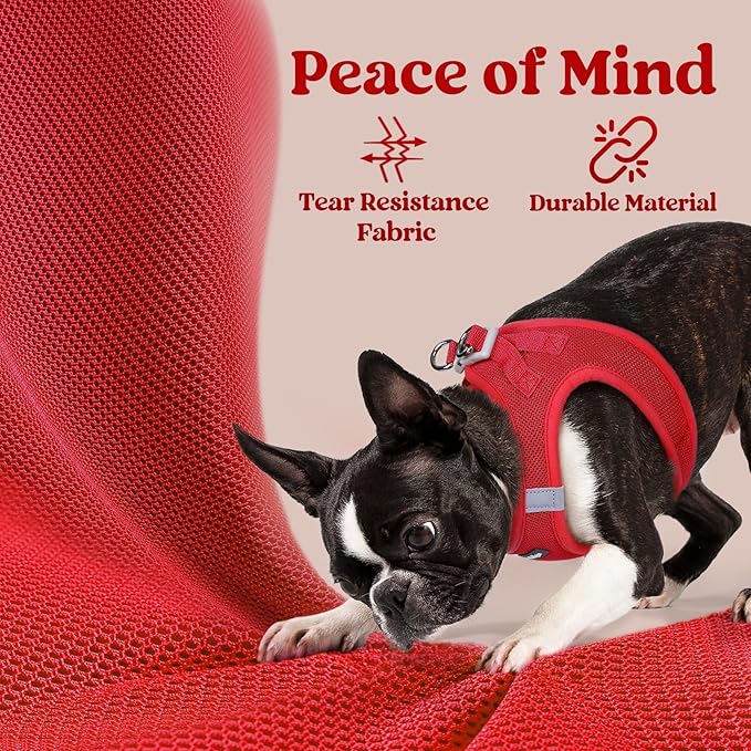 rabbitgoo Small Dog Harness, Step-in Soft Mesh Puppy Vest with Safety Buckle, Breathable Reflective Pet Harness for Small Sized Dogs, Red XS