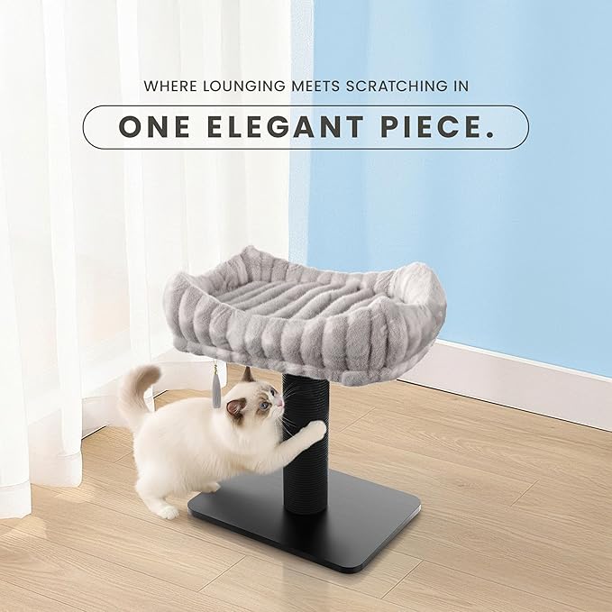 Modern Scratching Post for Indoor Cats - 15” High Cat Scratching Post with Bed Breeds - 15.7” x 11.6” Removable & Washable Cushion (Black Post with Gray Bed)