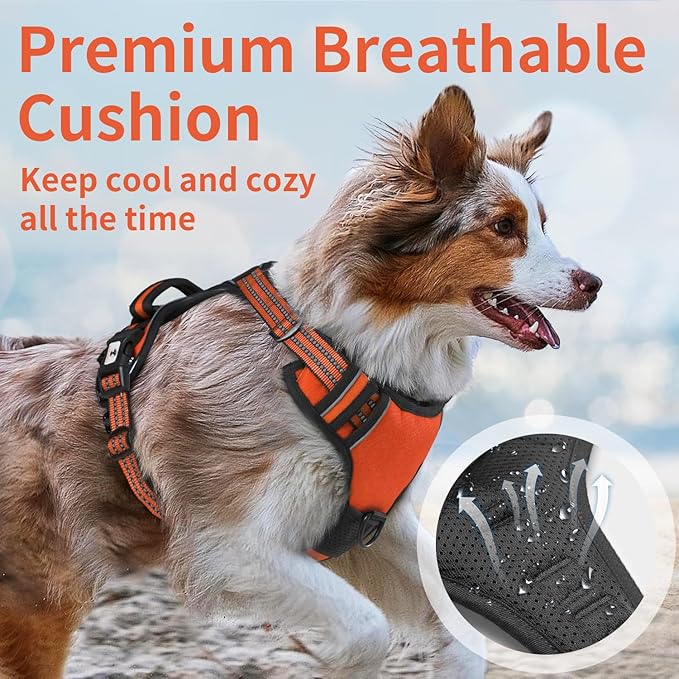 Dog Harness, No-Pull Pet Breathable Harness, Adjustable Soft Padded Dog Vest with 2 Leash Clips, Reflective No-Choke Pet, Easy Control Handle for Large Dogs, Orange, XL