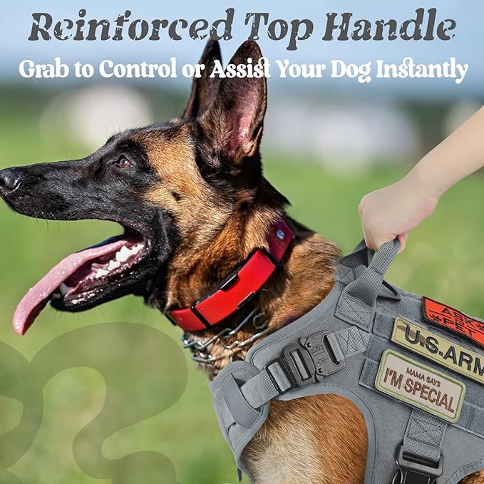 rabbitgoo Tactical Dog Harness for Small, Heavy Duty Pet Harness with Handle, No-Pull Service Vest Small Breed, Adjustable Military Dog Vest for Training Hunting Walking, Grey, S