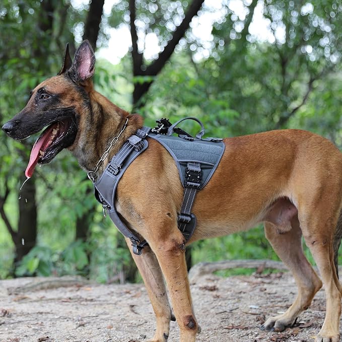 ICEFANG GN8 Tactical Dog Harness with 4X Metal Buckles for X-Large Sized Dogs,Reflective in Training Walking K9 Dog Vest,No-Pull Front Leash Clip,Adjustable Pet Harness (Grey, X-Large (Pack of 1))