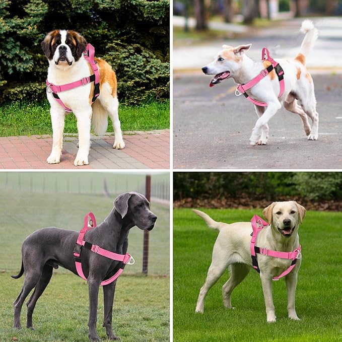 Annchwool Adjustable Dog Harness-Lightweight No Pull Dog Harness with Handle for Small & Medium and Large Dogs-Front Clip Easy for Walking Vest Harness(Pink,XL)