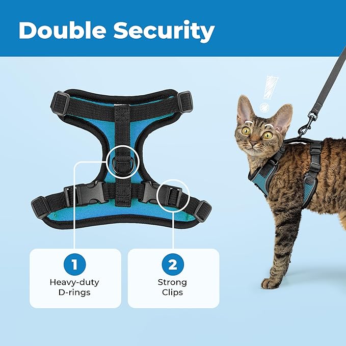 Voyager Escape Proof Cat Harness and Leash Set with Reflective Stitching, Neoprene Handle 5ft - Supports Small, Medium and Large Cats, Kittens for Walking by Best Pet Supplies - BT-Turquoise, XS