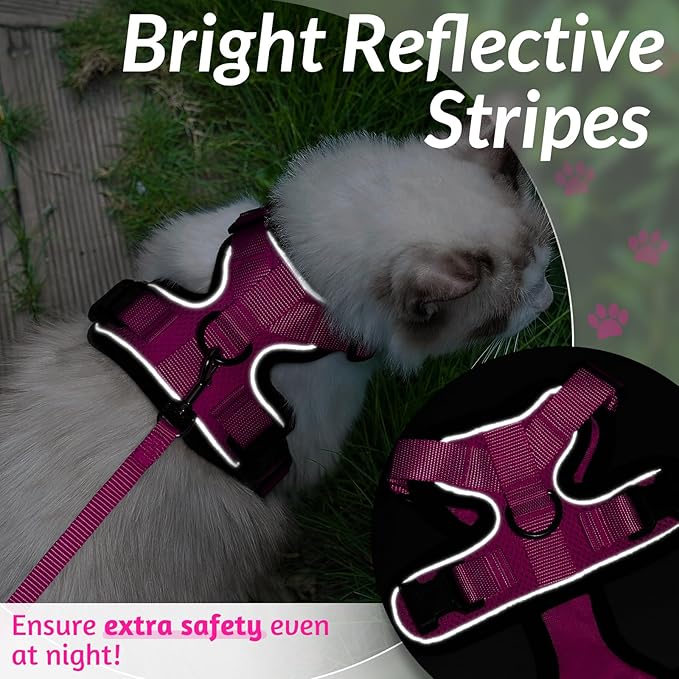 rabbitgoo Cat Harness and Leash for Walking, Escape Proof Soft Adjustable Vest Harnesses for Cats, Easy Control Breathable Reflective Strips Jacket, Rose Red, XXS