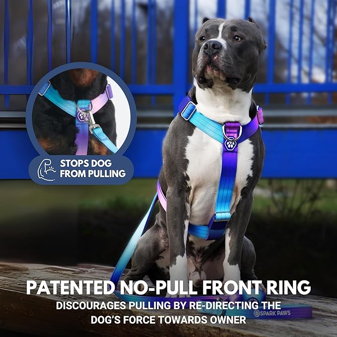 Spark Paws No Pull Dog Harness for Large Dogs, Heavy Duty Dog Harness for Big Strong Breeds, Adjustable, Y Shaped Padded Halter Design with Front Clip - 90s Retro – L