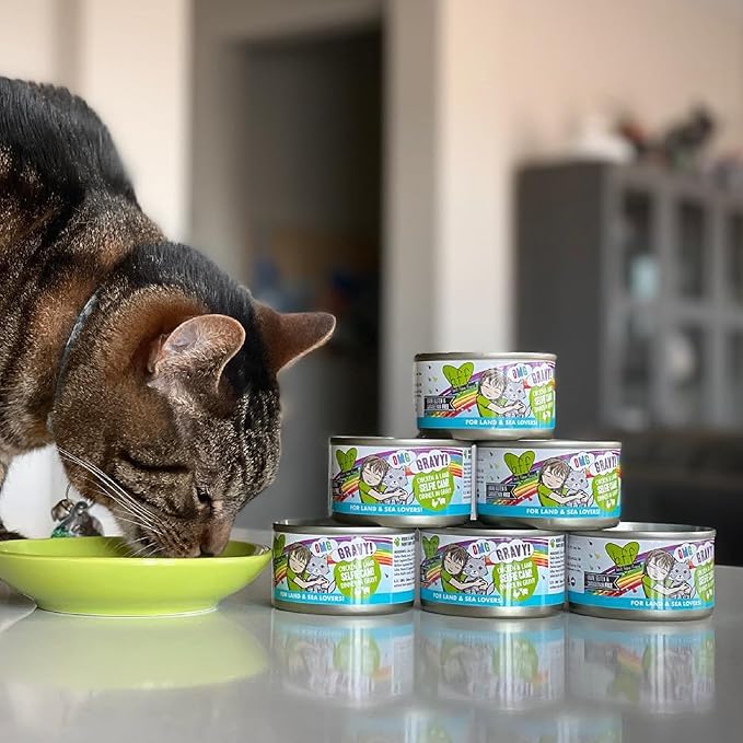 B.F.F. OMG - Best Feline Friend Oh My Gravy!, Tuna & Turkey Tell Me with Tuna & Turkey, 5.5oz Can (Pack of 8)