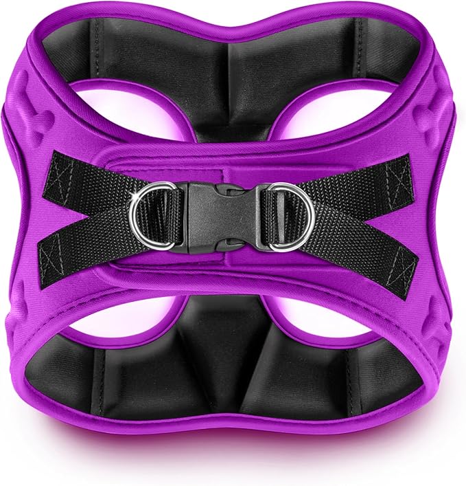 Comfort Fit No Pull Dog Harness – Adjustable Step-in Vest for Small, Medium & Large Dogs, Soft Padded with Leash Clips, Reflective Straps & Handle