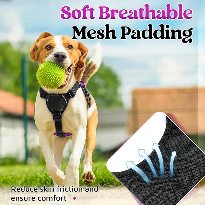 rabbitgoo Escape Proof Dog Harness, Soft Padded Full Body Pet Harness, Reflective Adjustable No Pull Vest with Lift Handle and Lesh Clip for Large Dogs Walking Hiking Training, S, Purple