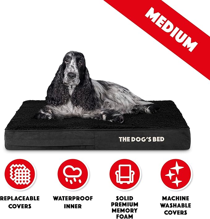 The Dog’s Bed Orthopedic Memory Foam Dog Bed, Medium Black Plush, Pain Relief for Arthritis, Hip & Elbow Dysplasia, Post Surgery, Lameness, Supportive, Calming, Waterproof Washable Cover