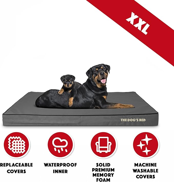 The Dog’s Bed Orthopedic Memory Foam Dog Bed, XXL Grey & Black 54x36, Waterproof, Supportive Dog Bed with Replaceable Covers, Veterinary Approved