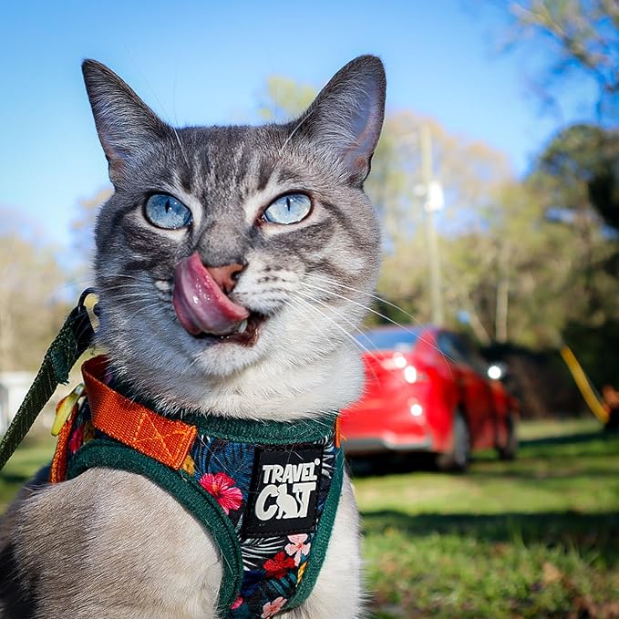 Travel Cat Harness and Leash Set - Adjustable Fit Mesh Cat Harness and Reflective Strap - Comfort Walking Vest for Kitten for Outdoor Walking, Hiking (Large, Hawaiian)