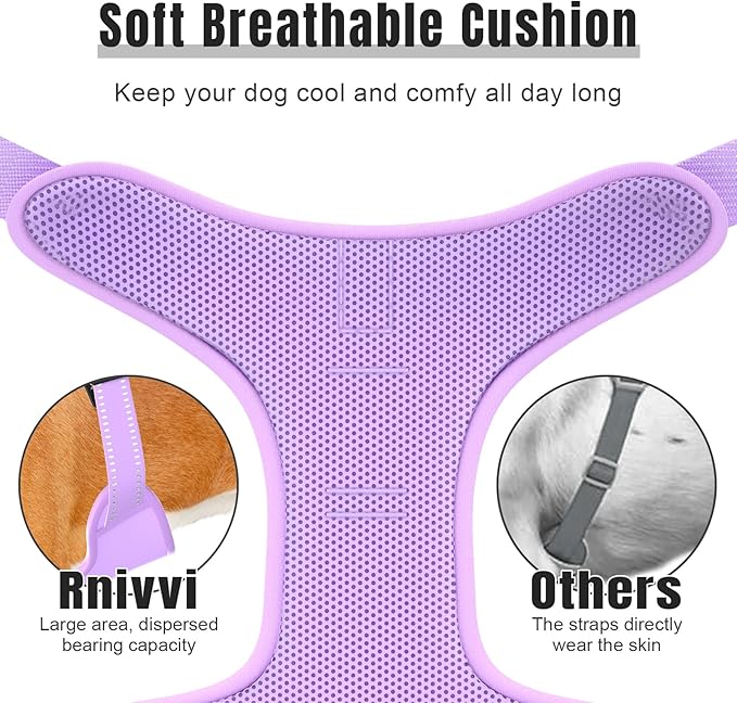 Rnivvi No Pull Dog Harness, Cute Reflective Medium Sized Puppy Kitten Harness, Adjustable Soft Padded Vest for Medium Dogs, Heavy Duty Pet Vest with Easy Control Handle for Walking, Purple