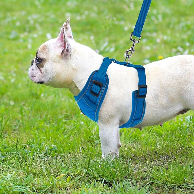 PUPTECK Small Dog Harness and Leash Set, No Pull Adjustable Puppy Cat Harness, Reflective Soft Mesh Pet Vest Small Sized