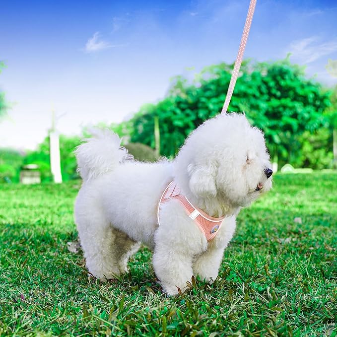 Dog Harness and Leash Set, No Pull Soft Mesh Puppy Harness for Small Medium Dogs, Cats - Step in Reflective Breathable Lightweight Vest Harness for Walking, Training - Pink, M