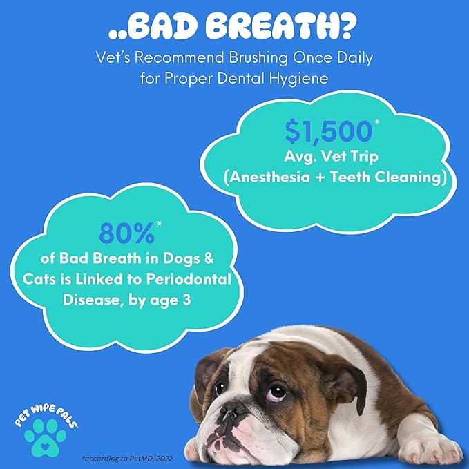All-in-1 Dog Teeth Cleaning Wipes | Enzymatic Whitening + Micro Scrubbing Beads | No Mess, Pet Dental Wipes & Finger Tooth Brushing Kit | Plant-Based Dental Care for Cats & Dogs (60 Count)