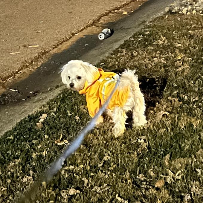 BEAUTYZOO Dog Raincoat with Harness Built-in for Small Medium Dogs and Puppies Boys Girls, Dog Rain Jacket Hooded Slicker Poncho Waterproof Reflective Dog Clothes for Winter Cold Rainy Snowy Days, M