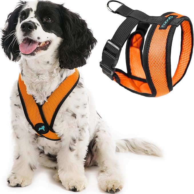 Gooby Comfort X Head-in Harness - Orange, Small - No Pull Dog Harness with Patented Choke-Free X Frame for Small Breeds - Indoor and Outdoor Use
