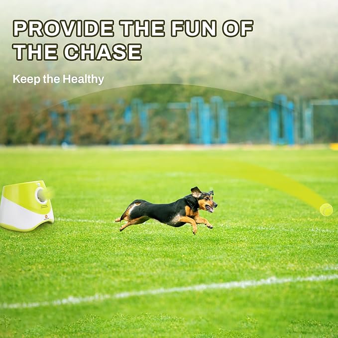 Elevon Tennis Balls for Small and Medium Size Dogs, 2" Mini Tennis Balls for Indoor Outdoor, Compatible with Dog Ball Launcher (12PCS)